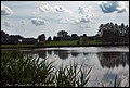 DSC04926.jpg