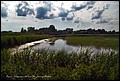 DSC04945.jpg