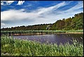 DSC04960.jpg