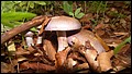 DSC06174.JPG