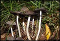 DSC06289.JPG