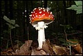 DSC06292.JPG