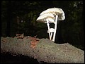 DSC06302.JPG