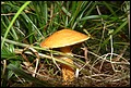 DSC06305.JPG