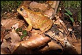 DSC06333.JPG
