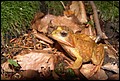 DSC06335.JPG