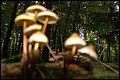 DSC06459.JPG