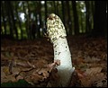 DSC06549.JPG