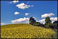 DSC04840.jpg