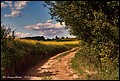 DSC04869.jpg