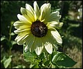 DSC05284.jpg