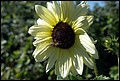 DSC05286.jpg