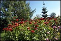 DSC05302.jpg