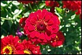 DSC05306.jpg