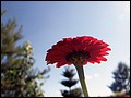 DSC05307.jpg