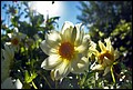 DSC05308.jpg