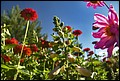 DSC05312.jpg