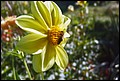 DSC05326.jpg