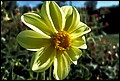 DSC05327-akwarela.jpg