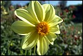 DSC05327.jpg