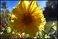 DSC05328.jpg