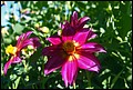 DSC05329.jpg