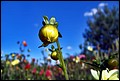 DSC05332.jpg