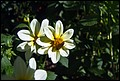 DSC05335.jpg