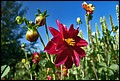 DSC05336.jpg