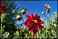 DSC05337.jpg