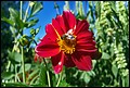 DSC05339.jpg