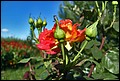 DSC05345.jpg