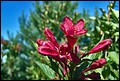 DSC05347.jpg