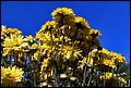 DSC05351.jpg