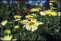 DSC05355.jpg