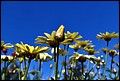 DSC05356.jpg