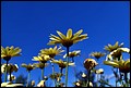 DSC05357.jpg