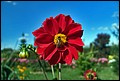DSC05360.jpg