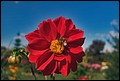 DSC05364.jpg