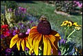 DSC05366.jpg