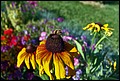 DSC05368.jpg