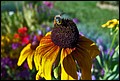 DSC05371.jpg