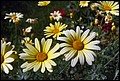 DSC05372.jpg
