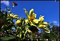 DSC05375.jpg