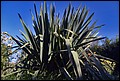 DSC05377.jpg