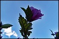 DSC05378.jpg