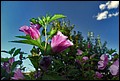 DSC05382.jpg
