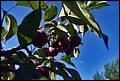DSC05390.jpg