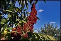 DSC05392.jpg