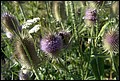 DSC05395.jpg